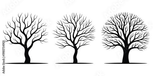 Three bare silhouette trees with intricate branches on white background vector illustration