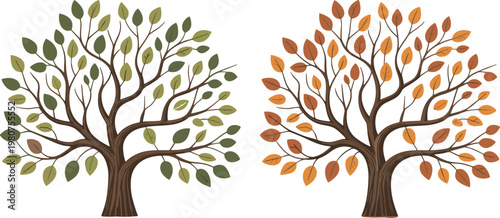 Two stylized trees one with green leaves and one with orange and brown leaves on white seasons spring
