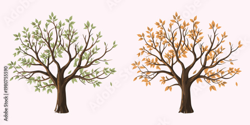 Two stylized trees one with green leaves and one with orange leaves on light pink background seasons
