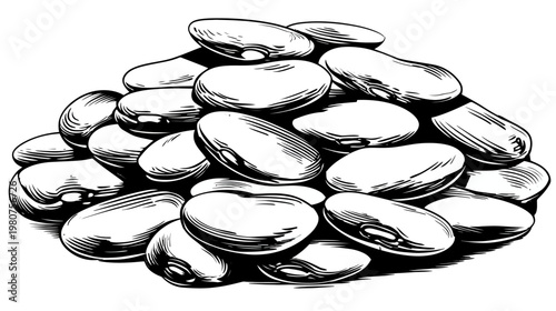Hand-drawn monochrome illustration of a pile of lima beans with heavy shading lines