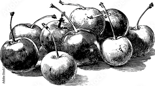 Etched ripe cherries with stems, clustered together in a monochrome illustration