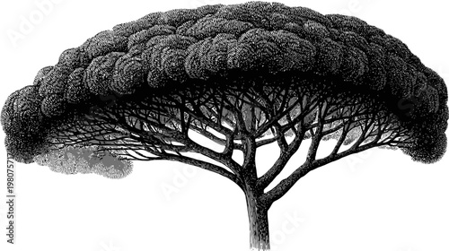 Monochrome tree illustration featuring thick foliage, branches, and a sturdy trunk