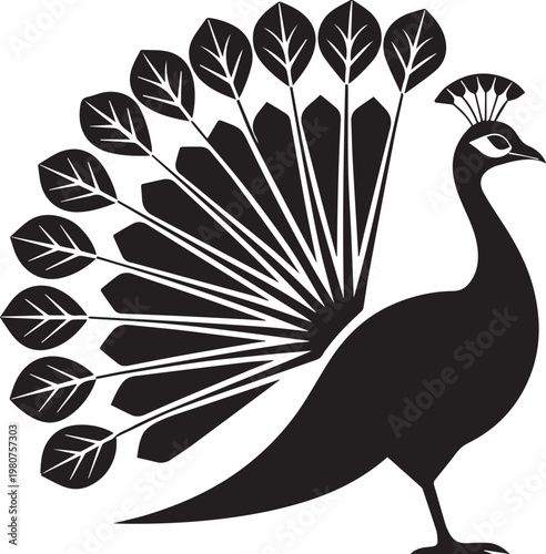 A striking black and white illustration depicts a peacock with its elaborate tail feathers fully displayed