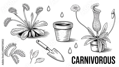 Carnivorous plants and gardening tools illustrations on white background