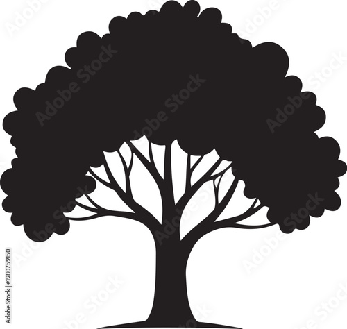 Black silhouette of a tree with a thick trunk and rounded canopy