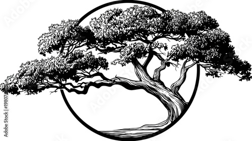 Silhouetted tree with lush foliage inside a circle, against a white background