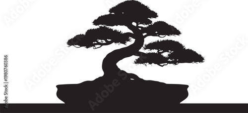 Black silhouette of bonsai tree in pot on black surface