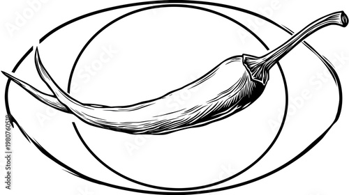 Black and white drawing of a pepper, inside two curved lines