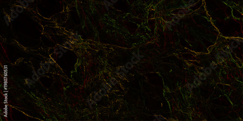 Lush green leaves and mossy rocks glisten with rain drops in a forest landscape featuring time lapse footage of falling water and a full moon