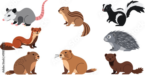Canvas Print Cartoon Mammal Illustrations Featuring Opossums, Meerkats, Skunks, and Other Sma