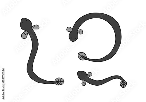 うなぎの手描きイラストセット