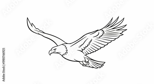 A black and white line drawing of a bald eagle in flight