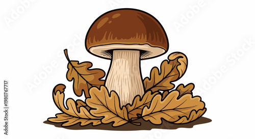 A brown mushroom with a thick stem surrounded by fallen oak leaves