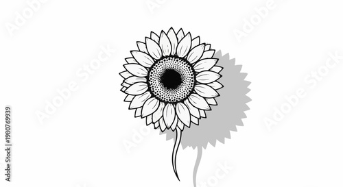 A black and white line drawing of a sunflower with a distinct shadow