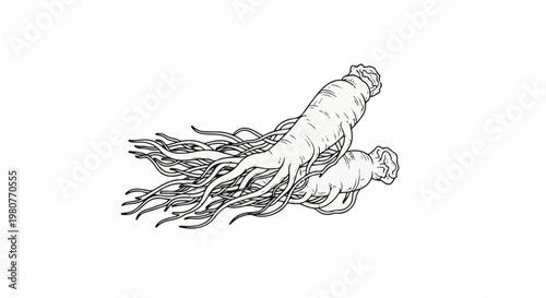 A black and white line drawing of two gnarled roots with long, wispy tendrils