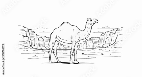 A camel stands in a dry desert landscape with rocky cliffs