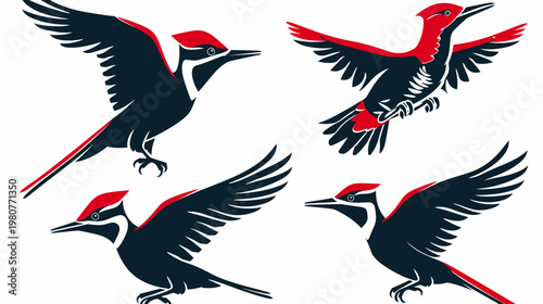 Four stylized Pileated Woodpecker silhouettes, dark bodies and red head crests and wing detail