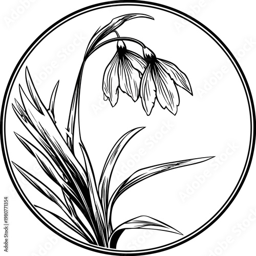 Intricate botanical drawing of snowdrop flowers, detailed in black and white, framed by a circle