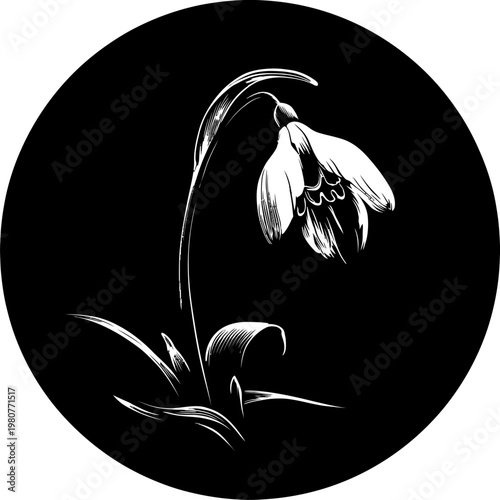 Monochrome illustration of a snowdrop flower in a circular frame against a solid black backdrop