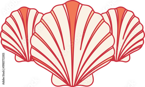 Realistic Seashell Ocean Study. Detailed Seashell Marine Object Study. Ocean Shell Natural Form Study. Coastal Seashell Marine Life Study. Realistic Sea Shell Collection Study. Natural Seashell Beach