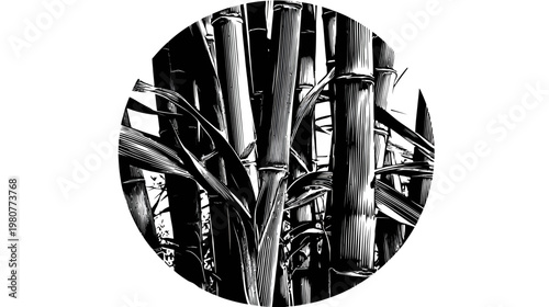 A striking black and white circular depiction of bamboo stalks and leaves