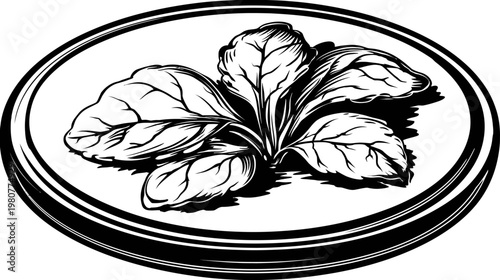 Black and white illustration of leafy green vegetable within oval border, elegant line art