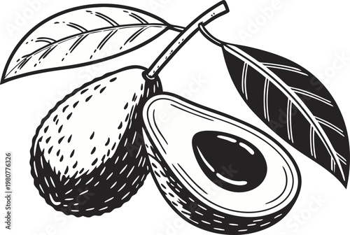 Single Realistic Avocado Fruit. Fresh Ripe Avocado Natural Food. Isolated Green Avocado Whole Fruit. Realistic Avocado Natural Produce. Single Organic Avocado Healthy Food. Fresh Green Avocado Close