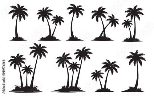 tropical coconut, palm tree silhouette isolated on white background.
