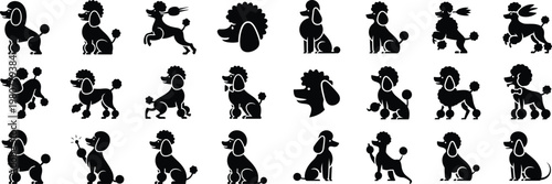 Poodle Dog Breed Pet and Grooming Silhouette Icon Set Vector Illustration Isolate on White Background 