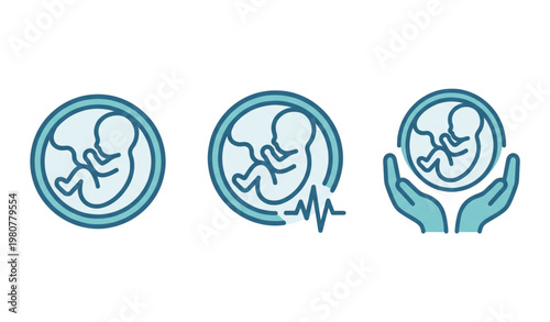 A set of three teal vector icons depicting fetal development stages