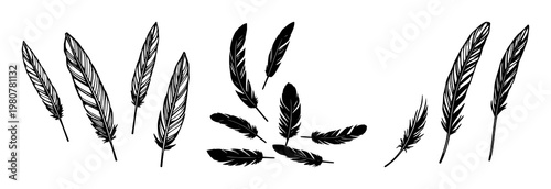 Feather icons set with black feather illustrations featuring vector, line art, minimal clean design with icons and symbols