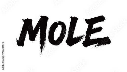 MOLE Handwriting