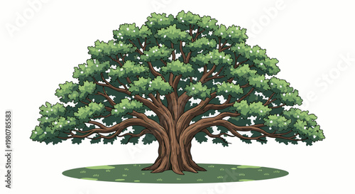 A large, ancient tree with a thick trunk and sprawling branches, bearing green leaves