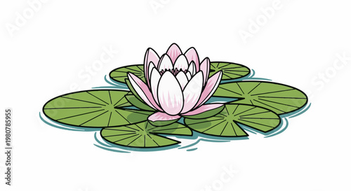 A delicate pink water lily blooms above green lily pads floating on water