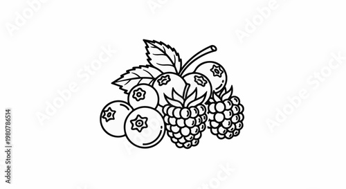 A line art illustration depicts a cluster of blueberries and raspberries with leaves