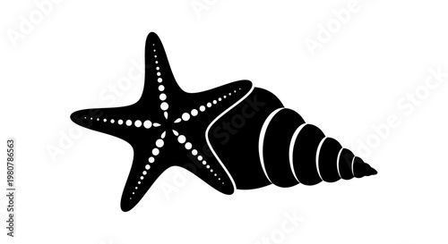 Black starfish and conch shell.