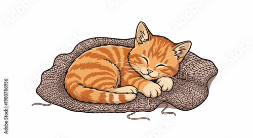 A cute orange tabby kitten peacefully sleeps curled up on a crocheted mat