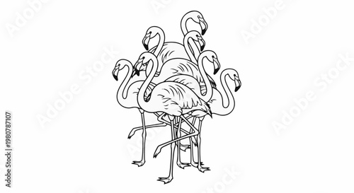 A cluster of elegant flamingos are depicted in a stylized line drawing