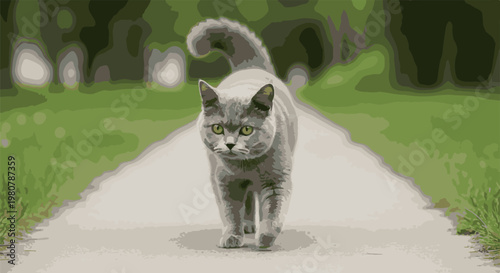 A gray cat walks on a path through a grassy area