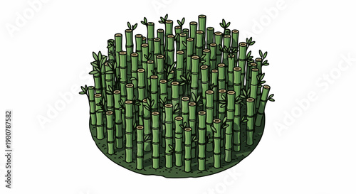A dense cluster of green bamboo stalks with small leaves sprouts