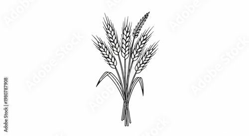 A line drawing of a bouquet of wheat stalks tied together