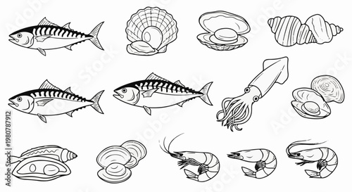 A collection of marine life illustrations, featuring fish, shellfish, and crustaceans