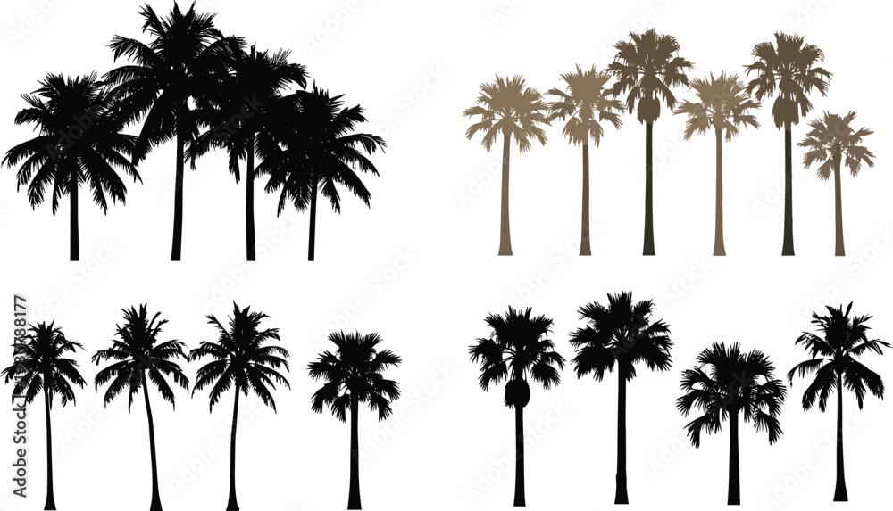 Fototapeta premium Palm tree silhouette collection tropical nature illustration set with diverse styles botanical design elements for summer beach paradise landscape decoration and creative artwork