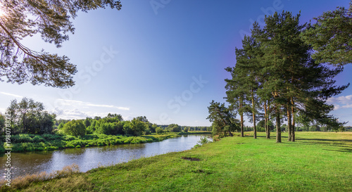 Wallpaper Mural Sunlight glows through tall green trees Torontodigital.ca