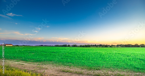 Wallpaper Mural Vibrant green field stretches under a clear blue sky Torontodigital.ca