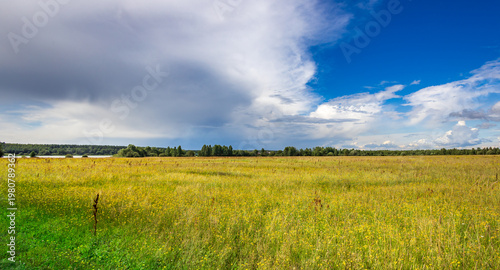 Wallpaper Mural Golden field stretches wide under a vast, dynamic sky Torontodigital.ca