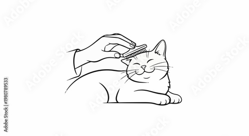 A content cat is being brushed by a hand with a comb