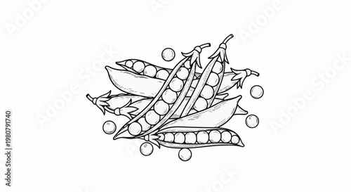 A close-up line drawing shows a cluster of ripe pea pods with visible peas inside
