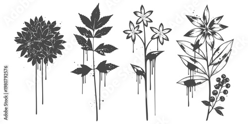 Tableau sur toile A set of four distinct botanical illustrations featuring artistic paint drip eff