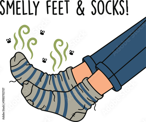 Lush swamp landscape with dense vegetation, tall trees, and shallow water, illustrating a natural wetland ecosystem with rich greenery.